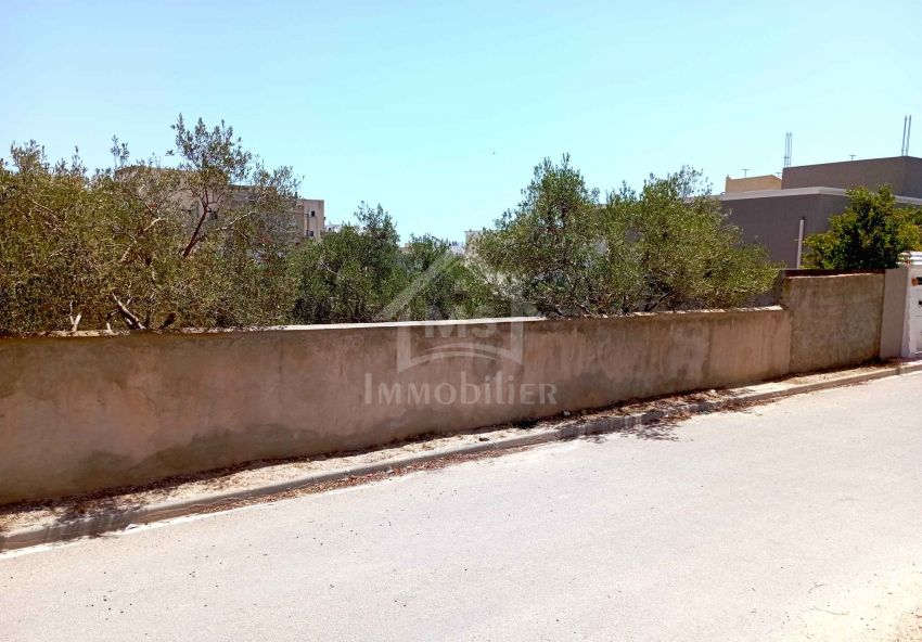 Terrain clôturé, viabilisé à vendre à Hammamet Nord 5135531