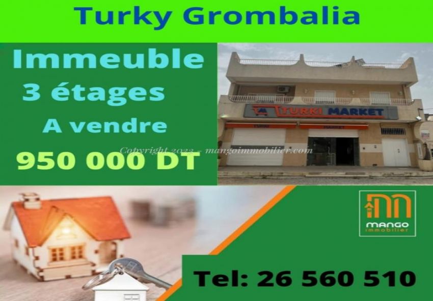 Immeuble les jardins de Turky Grombalia VC2270