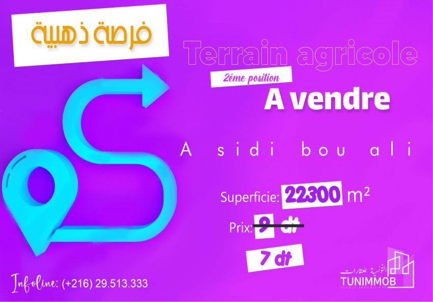 A #vendre un #Terrain agricole à  Sidi bou ali