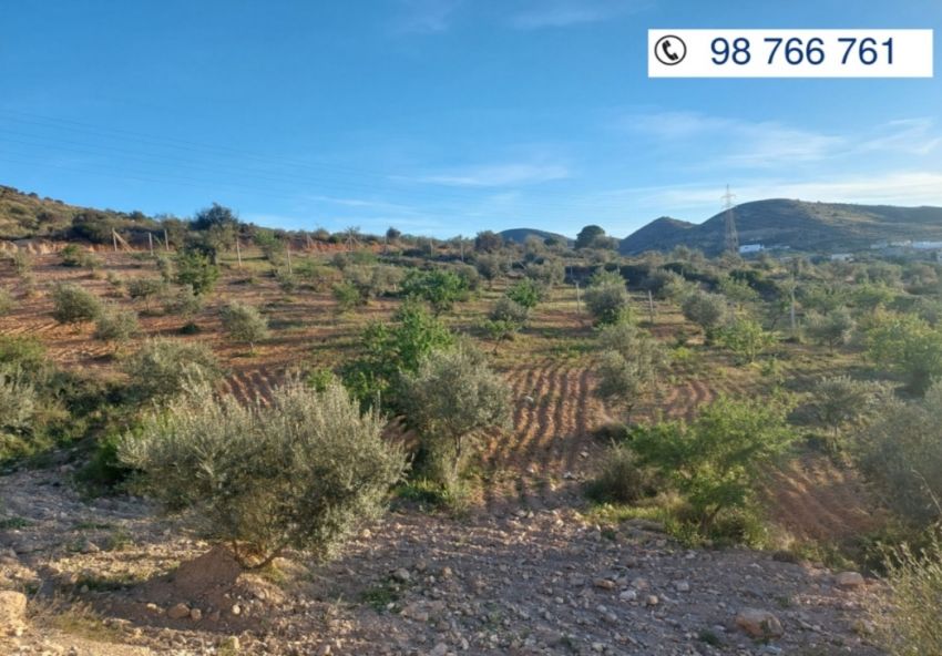 A vendre terrain Sidi Thabet Ariana
