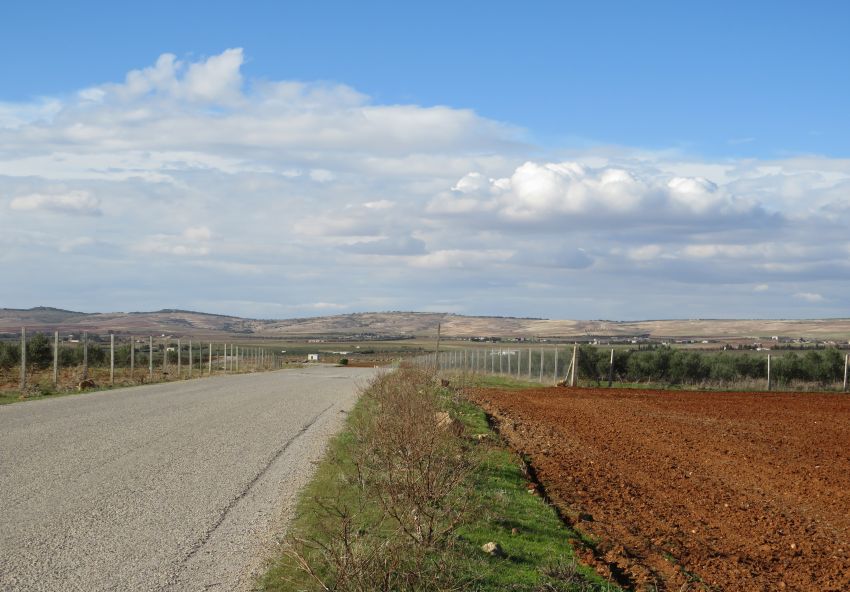5 hectares terrain agricole
