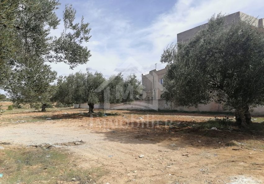Terrain de 360 m² à Manaret El Hammamet à vendre 51355351