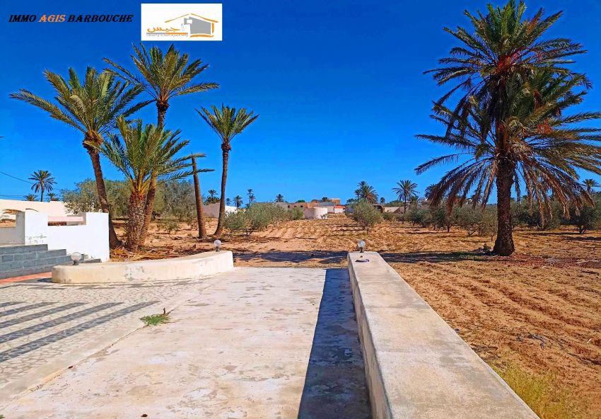 Villa avec super grand terrain  - Midoun Djerba