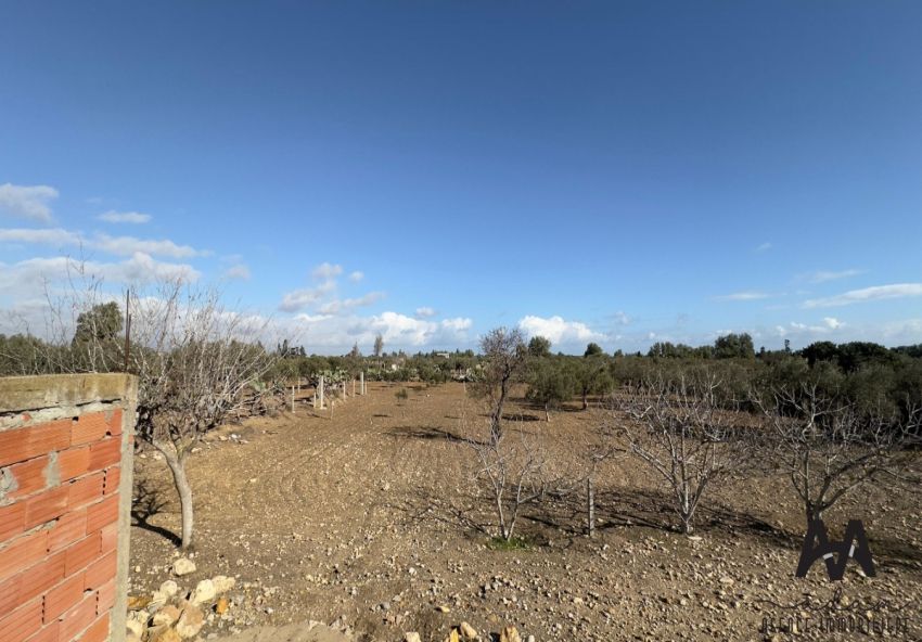 Terrain agricole de 2664m² à Dharoufa, Nabeul