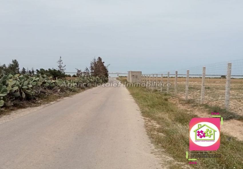 Terrain Agricole de 3126 m2 a Foukaia Chott meriem