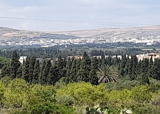 terrain à À Vendre à BIZERTE - Terrain a raf raf  9300m²