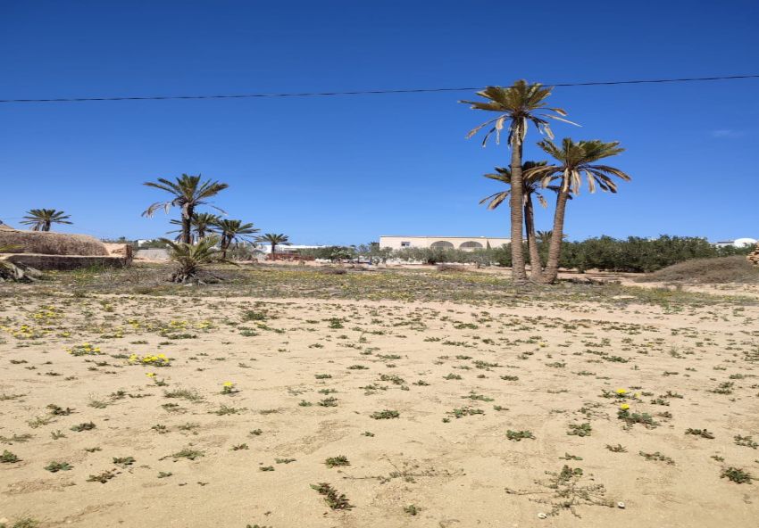 Terrain à vendre à Djerba