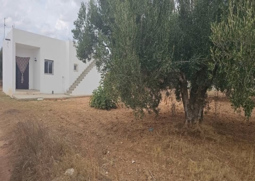 maison 700m besbesya hamamet sud