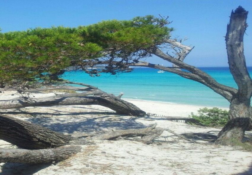 terrain à À Vendre à NABEUL - Profitez de la beauté naturelle
