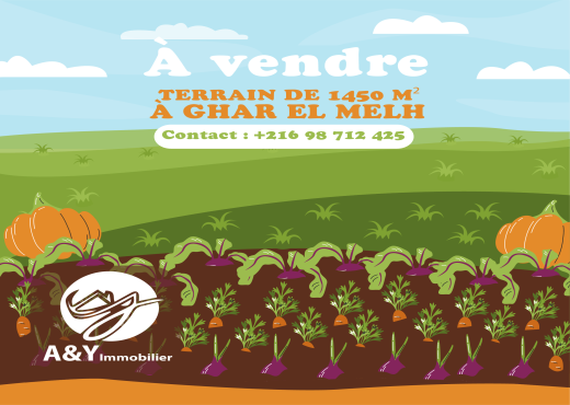 Terrain agricole constructible à Ghar El Melh