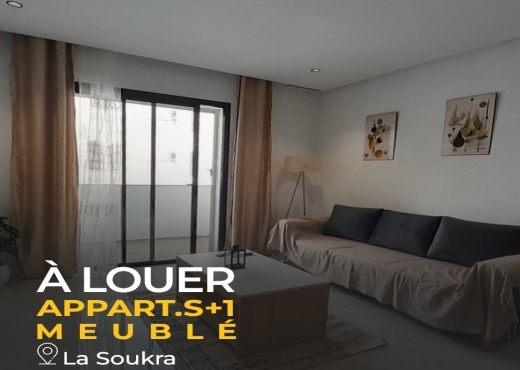 À louer Appart S1 meublé La Soukra