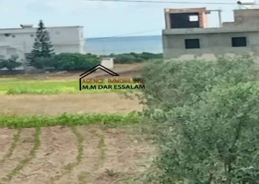 terrain à À Vendre à NABEUL - terrain près de la mer