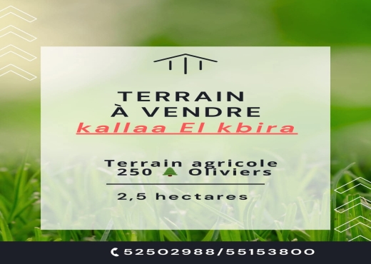Terrain à vendre