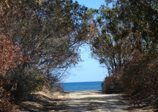 UN TERRAIN A PARTIR DE 10 000 M²