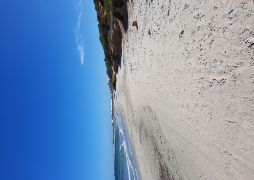 1000 m² a ne pas rater