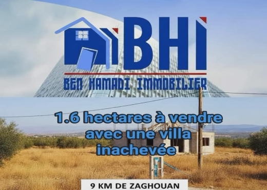 TERRAIN AGRICOLE A VENDRE