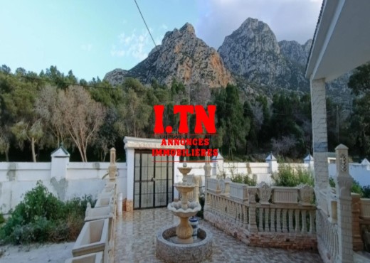A Vendre Villa à Zaghouan