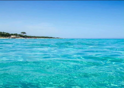 investir a ezzahra kelibia