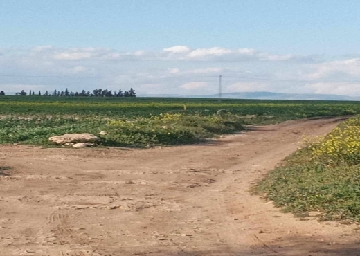 ارض فلاحية منبسطة بسيدي مدين