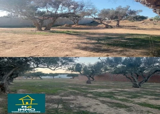 terrain à À Vendre à SOUSSE - À VENDRE  Terrains à Chott Mariem