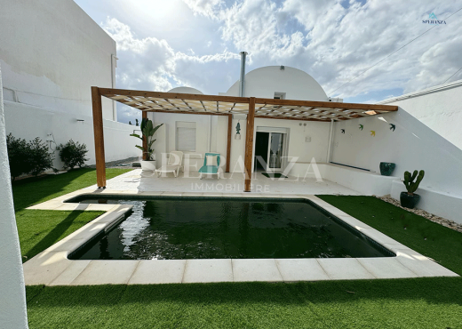 Villa Mykonos