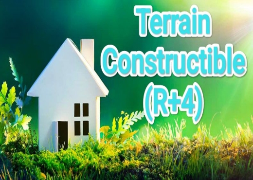 Terrain R+4