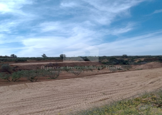 Vendre des terrains agricoles