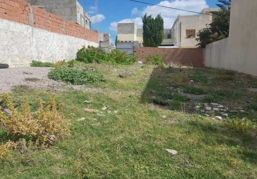 terrain a vendre
