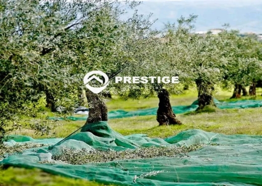 A vendre une ferme à Kalaa Kebira