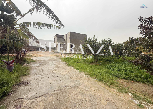 vente terrain viviana