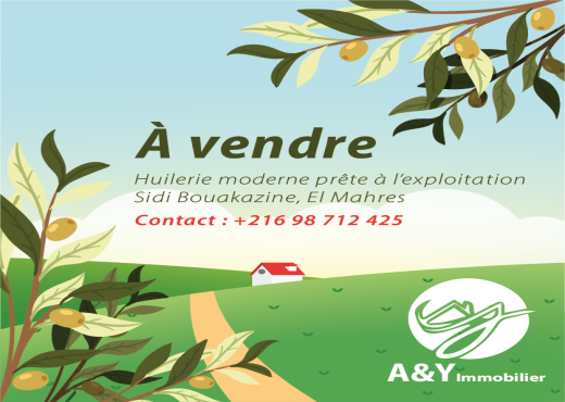 🔶 معصرة عصرية للبيع – سيدي بوعكازين