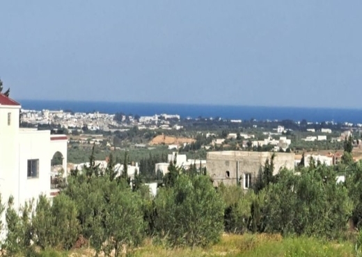 AV 1000m sidi hammed hamammet