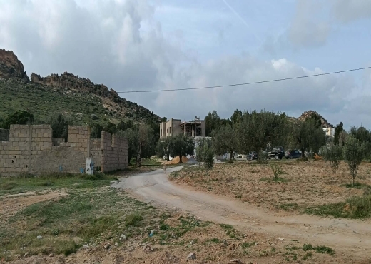 Terrain agricole à vendre