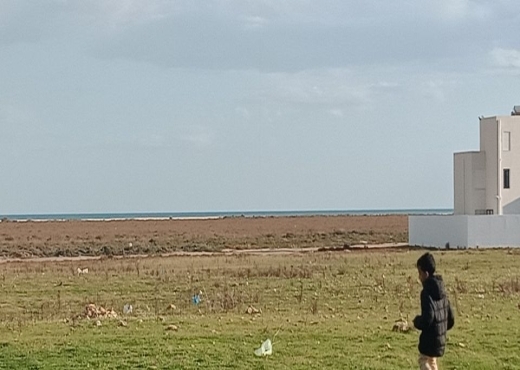 AV terrain cote plage klm71 hamammet sud