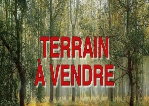 Palmarès immobilière met en vente un terrain à Yak