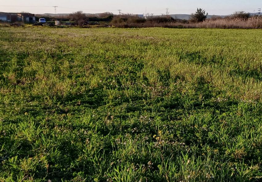 terrain à À Vendre à ARIANA - hectar à vendre