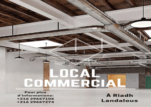 Local commercial à vendre  Ariana