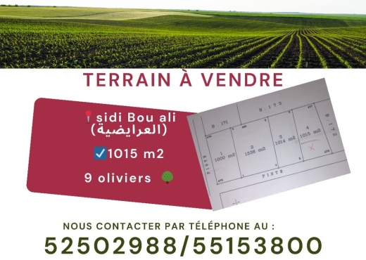 A Vendre Terrain à SIDI Bouali
