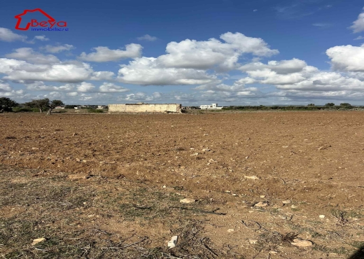 terrain korba VTM088