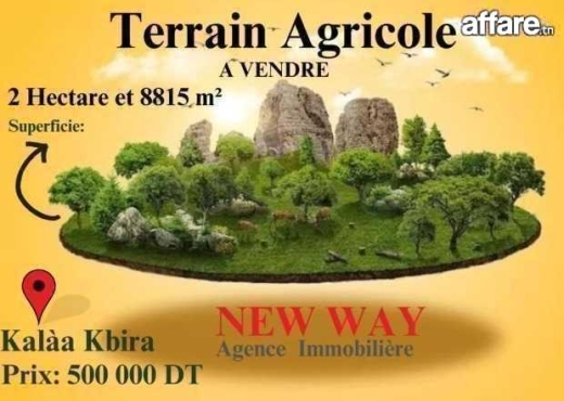 Terrain Agricole 2 Hectar et 8815