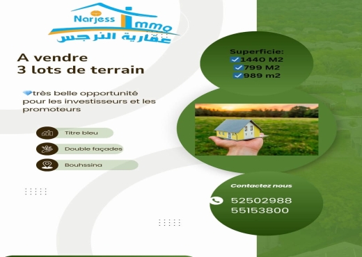 3 Lots de terrain