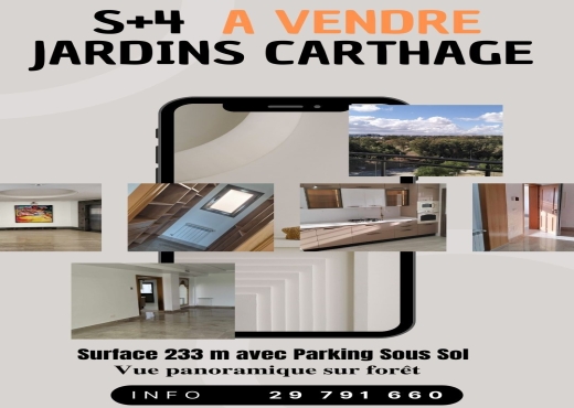 S+4  Les Jardins de carthage Stand