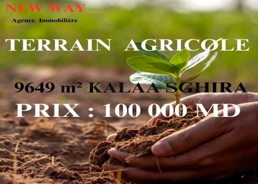 Terrain Agricole à Kalàa Sghira