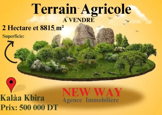 Terrain Agricole 2 Hectar 8815 m²