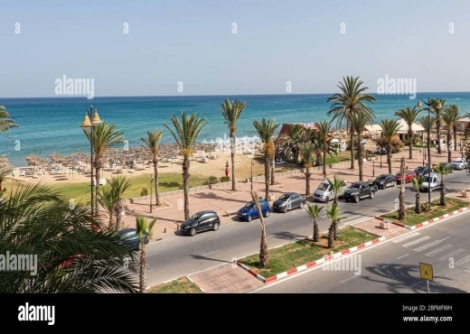 اراضي في الحمامات الجنوبية ابتدأ من  150د ا المتر a vendre