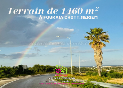 #terrain de 1460 𝓶² à #foukaiacho