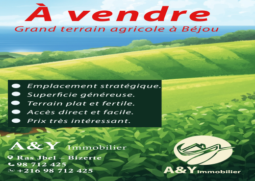 À vendre : Terrain agricole à Béjou