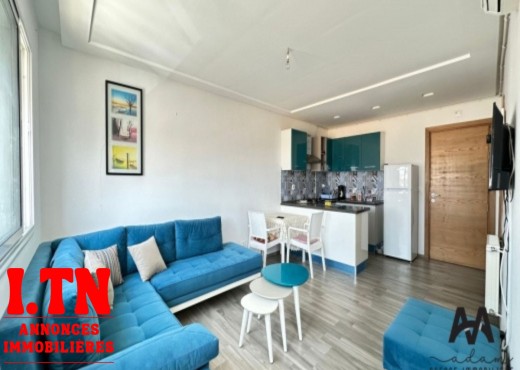 appartement S+1 meublé à AFH2