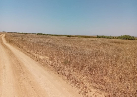 A Vendre Terrain Agricole Sousse