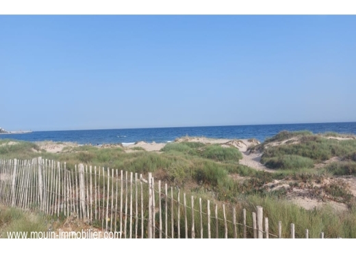 TERRAIN LAMISE Beni Khiar T1028